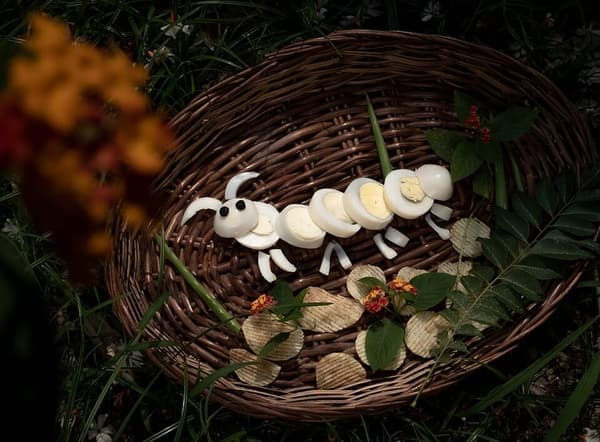 Boiled Eggs
